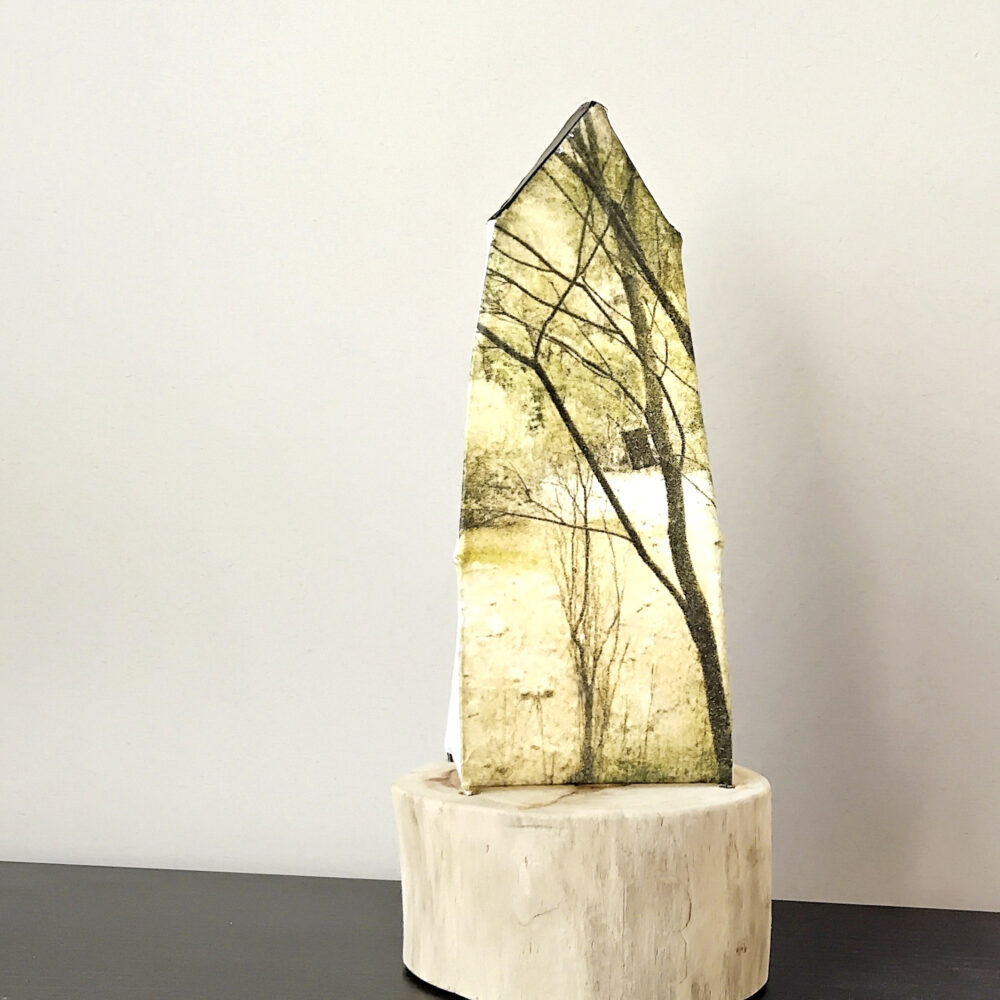 arbre amb niu - Imatge 3