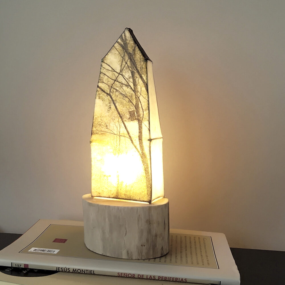 arbre amb niu - Imatge 2