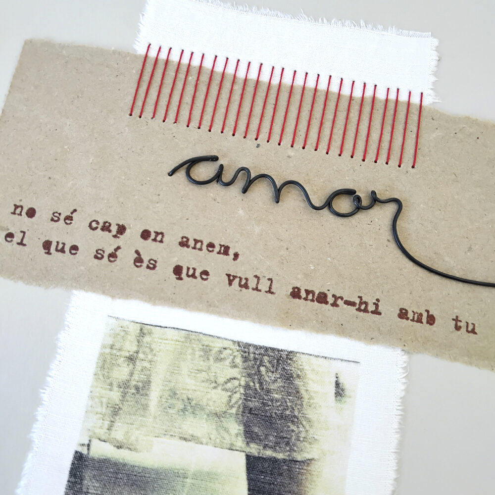 no sé cap on anem... - Imatge 5