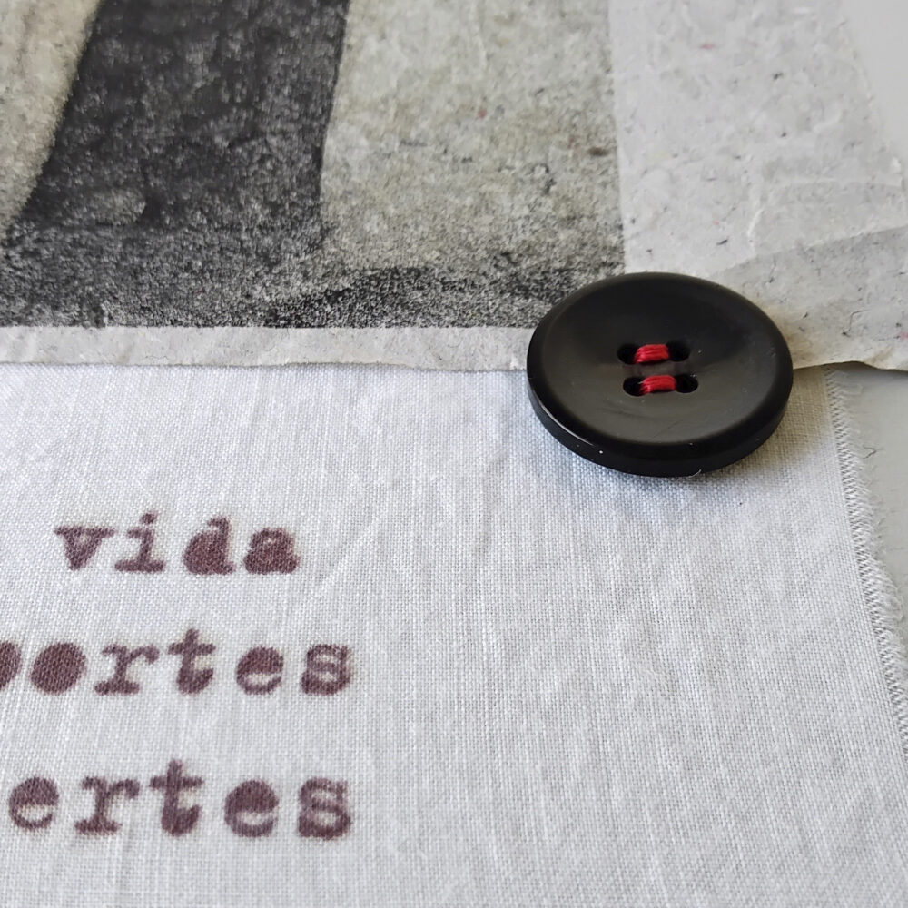 portes obertes - Imatge 4