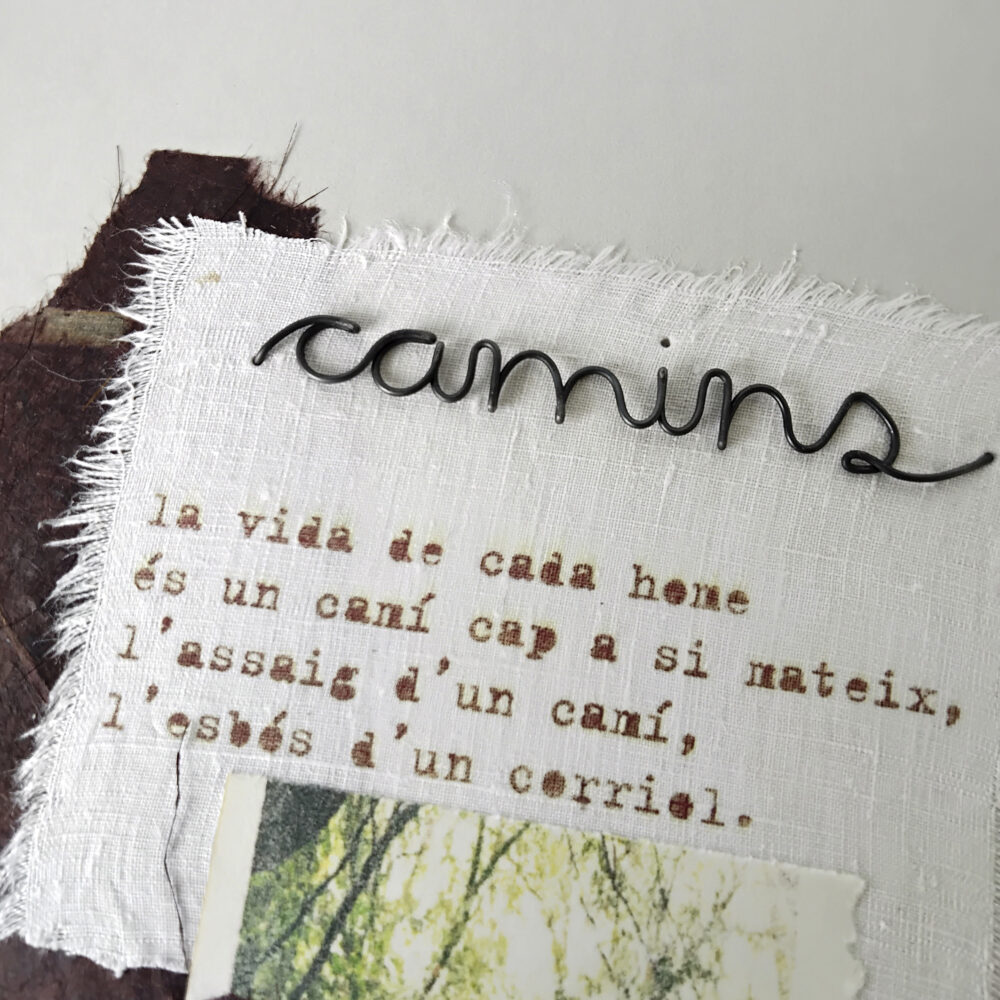 camins - Imatge 3